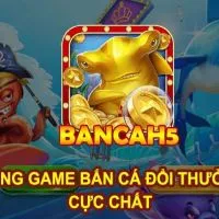 BancaH5