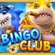 Bingo Club - Bá Chủ Đại Dương