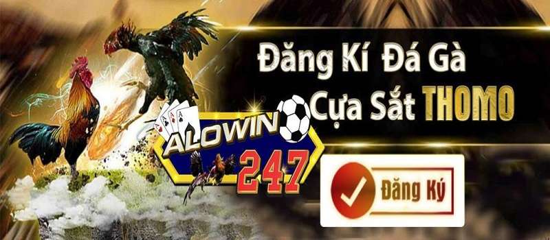 Alowin247 - Cá cược thể thao, game bài trực tuyến đỉnh cao - Ảnh 3