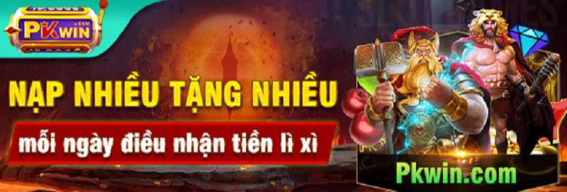 Pkwin - Sân chơi cá cược uy tín trên thị trường Việt Nam - Ảnh 2