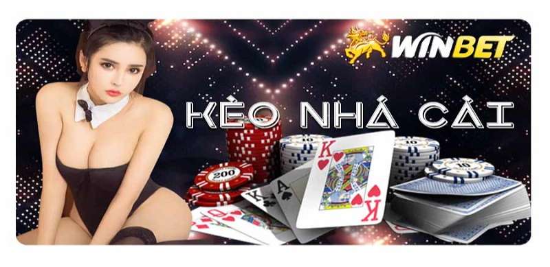 Winbet casino - Tải Winbet Kim / Net nhà cái đẳng cấp Châu Á - Ảnh 2